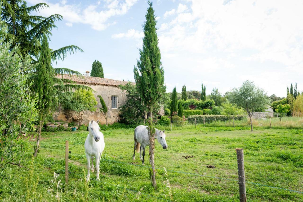Mas De La Rivoire B&B Villevieille Exteriér fotografie
